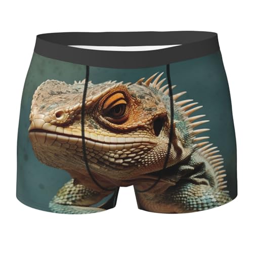 Men'S Boxer Briefs Lizards Men'S Boxers Quick Dry With Elastic Waistband Slimming Pants, For Family, Lovers, Men, 2XL Men'S Boxer Briefs Lizards Men'S Boxers Quick Dry With Elastic Waistband Slimming Pants, For Family, Lovers, Men, 2XL