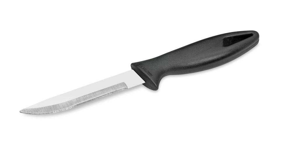 CL122 Pointed End Plain Edge Stainless Steel Knife, 20.32cm, Multicolour