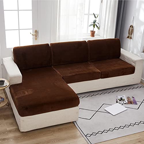 xxbg\t@Jo[ CNu[ NCjO`FAJo[ veN^[\t@ - ȒPtBbg Lk̂鐶n Xgb` @􂢉\ - \t@NbVJo[ n\t@`FAJo[ veN^[