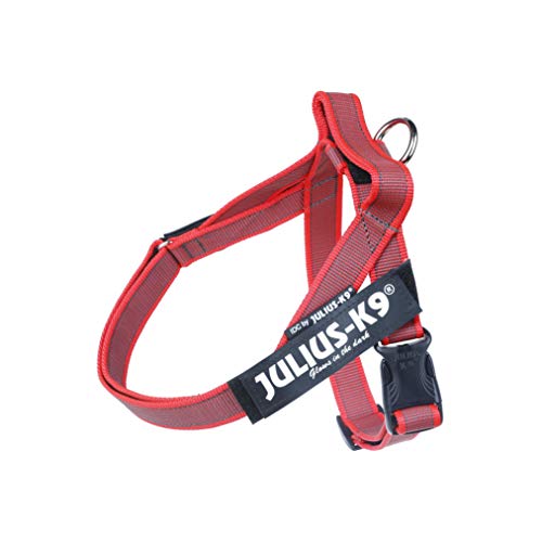 Julius-K9 Pettorina Fascia Mini Rosso/Grigio