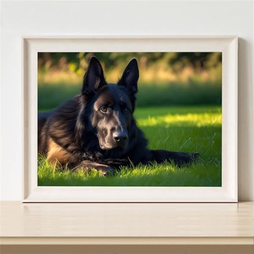 Kit Peinture Diamant 5D adulte débutant anti-stress pour retrouver le calme