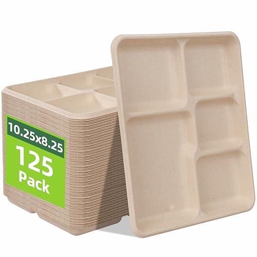 WELLIFE 125 Pack Kids Small 5-Compartment Paper Plates 10.25x8.25 Inch 100% Compostable Divided Plates Disposable School Lunch Trays Eco-Friendly Bagasse Plate for Boys Girls and Youth (BPA Free)