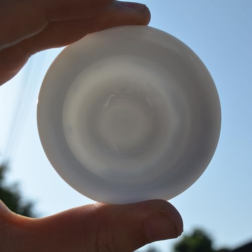 Image of Liang baobao Chinese Traditional Tea Tasting Cup Set of 4, 2oz Bule and White Porcelain Mini Cups for Gongfu Tea Ceremony (landscape)