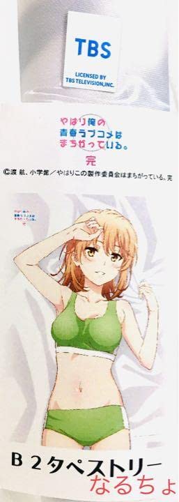 Amazon.co.jp: やはり俺の青春ラブコメはまちがっている 一色いろは 