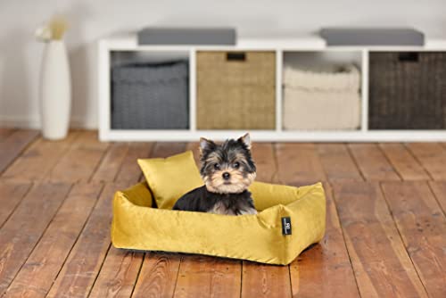 Rohrschneider Luxus Hundebett Kuschelsofa mit Rand, Weich - Inklusive Hundekotbeutel, Samt-Stoff 81.000 Scheuertouren, Senf, Größe S (kleine Hunde)