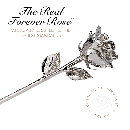 Image of Forever Rose Two Real Roses Dipped in Platinum, Acrylic Heart Vase
