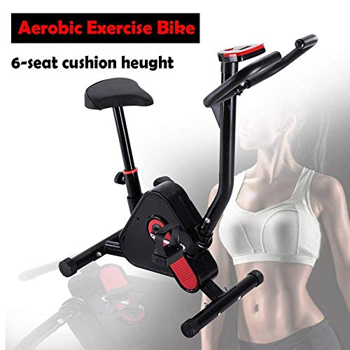 BH Fitness cycling trainer for indoor training, cardiovascular exercise bike for home gym with digital display, adjustable resistance