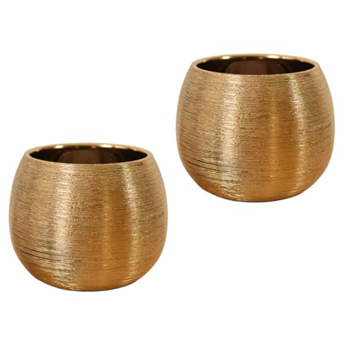 FOMIYES Maceta de Cerámica Dorada para Suculentas 2 Piezas, Jardinera Redonda para Decoración de Interiores, Maceta Pequeña para Escritorio y Hogar, Utensilio para Flores Doméstico