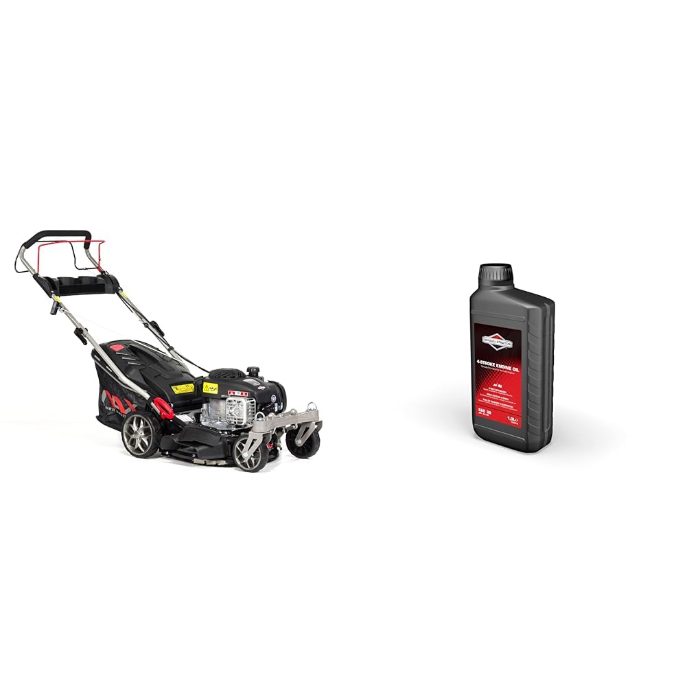 Moteur Briggs & Stratton 450E résout les pannes de coupe sur 42 cm