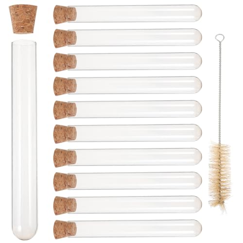 Ipetboom 10 Pcs KXNA RNt Rh~ ǍD [puVt  t̕ۑ NtgΉ