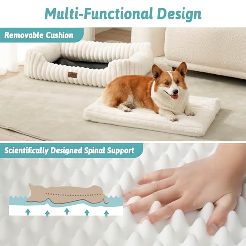 COZY KISS Orthopädisches Waschbares Hundebett, für Kleiner und Mittel Hunde, Weicher Kunstfell Hundekorb, Haustiersofa mit Hoher Umrandung, Flauschig, Rutschfestes, 76,2 x 58,4 x 17,8 cm, Beige