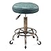 JHSLXD Taburete Retro Redondo, Taburete de Bar Giratorio elevable Taburete de Maquillaje Taburete de polea de peluquería Taburete de Trabajo de peluquería Taburete de Belleza,Green b