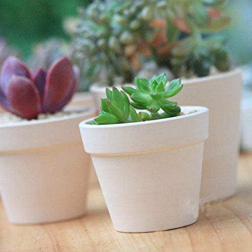 3 Inch Ceramics Planter, Indoor Flower Potted Modern Decorative Garden Pot And Drain All Indoor Plants, Flowers, Herbs, African Violets, Leaf Plants, Cream White, White Ceramics #TOP6