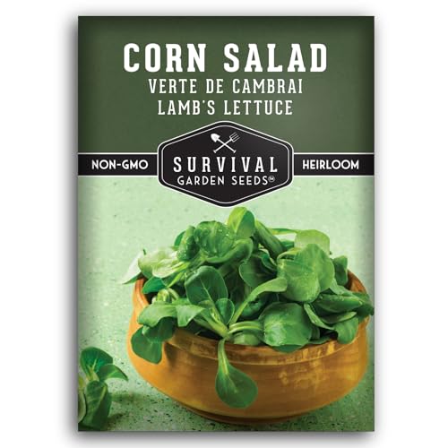 Corn Salad Seeds for Planting - Mache Lambs Lettuce - Cold Hardy Salad Greens - Heirloom Verte de Cambrai Variety - Non GMO Green Leafy Vegetable - Survival Garden Seeds (1 Pack)