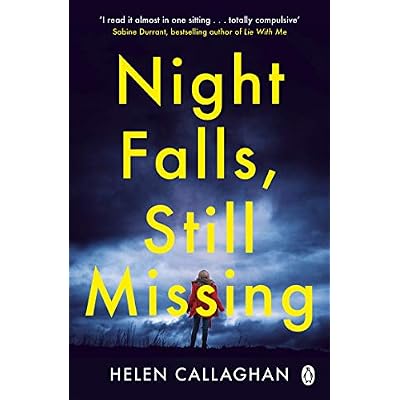 Night Falls, Still Missing