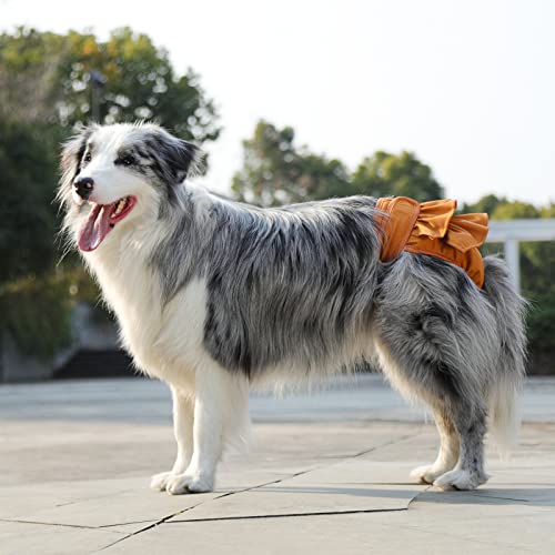 Image of Reusable Dog Diapers Female 3 Pack Washable Highly Absorbent Doggy Diapers Female, Flexible Doggie Diapers, Leak-Proof Durable Puppy Diapers for Dog Period Heat Incontinence Potty Training, M