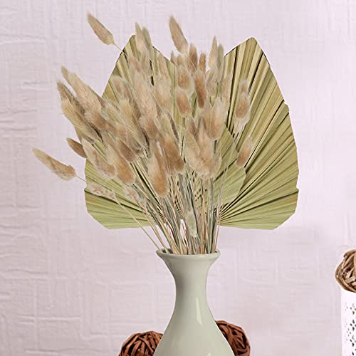 Dried Palm Leaves Dried Bunny Tails Pampas Decor Set 60 Pieces Rabbit Tail Grass Decor Pampas Grass Stem 2 Pieces Dried Fan Palm Leaves Boho Flower for Wedding Anniversary (Natural Color)