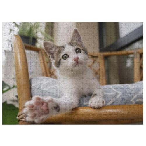 L   pY NG[VAjObY 킢 l jp D ߋ t@[Xg`CX ؐ  Ǐ葡蕨 av[g 500 PCS