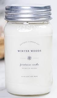 Winter Woods 16 Ounce Soy Wax Candle, 80 Hour Burn Time, Cotton Wick, Mason Jar Candle (Winter Woods)