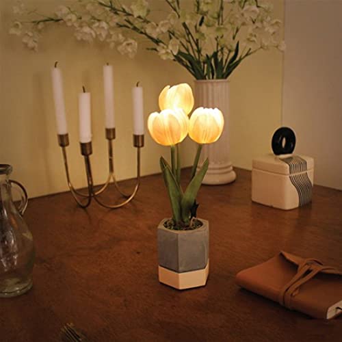 VIA K STUDIO L[eB[`[bv|bg LED  ϗtA tFCNO[yZIPŏЉz Cg zCgf[ Ԃ ̓ a j t[ Mtg v[g s[` Ki