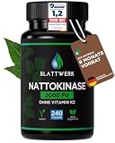 Nattokinase 2000 FU - JAHRESVORRAT - 365 Kapseln je 100mg (20.000 FU/g)