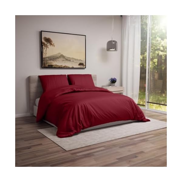 Dreamzie - Housse de couette 220 x 240 cm avec 2 taies d'oreiller 65 x 65 cm - Parure de lit 3 pièces pour adulte en microfibre douce - Certifié Oeko-Tex