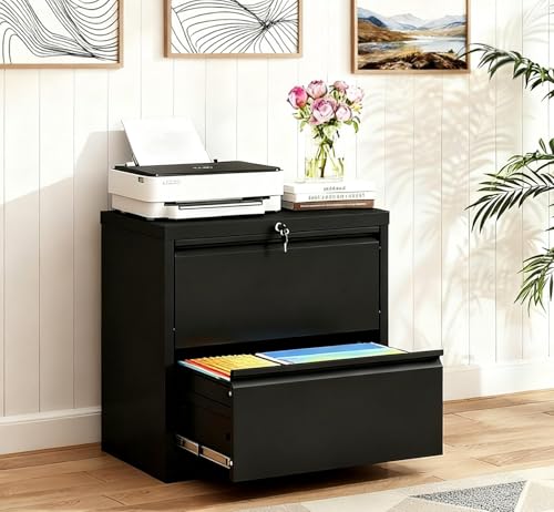 2-Drawer Lateral File Cabinet with Lock, Black Metal Filing Cabinet for Office or Home – Secure...