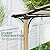 LUXIJOY 10' x 13' Arched Top Pergola Outdoor, Pergola Canopy with Storage Shelf, Wood-Like Aluminum Frame Patio Shade for Patio, Backyard, Garden, Poolside, Beige
