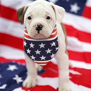   4th-of-July-Dog-Bandana-2-Pack-American-Flag-Dog-Bandanas-Adjustable-Reversible-Triangle-Dog-Scarf-Pet-Bandana-for-Small-Medium-Large-Dogs-Cats-Pets-Holiday-Independence-Day-Party-Costumes