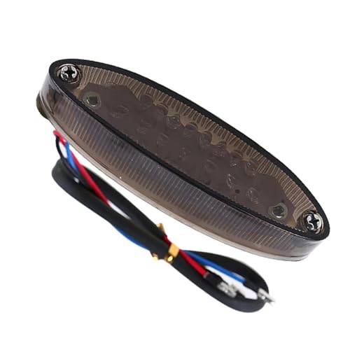 Feu arrière de moto à LED avec clignotants dynamiques étanches pour quad