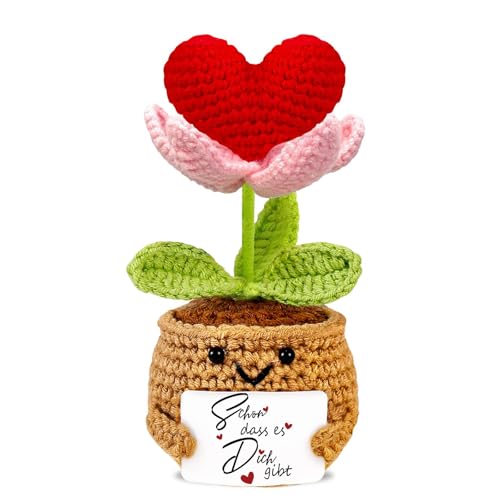 Geschenke für Frauen Kleines Dankeschön Geschenk Gehäkelte Herz Glücksbringer Deko Geburtstagsgeschenk für Frauen Beste Freundin Geschenke Danke Weihnachten Valentinstag Jahrestag Geschenk für Sie Ihn