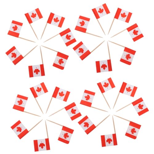 LOPUNER 300 iVitbOܗk} sbN JbvP[L gbp[ Hip  p[eB[ o[Xf[ P[LACVOp t[cX