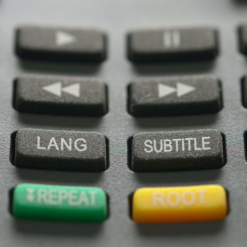 Not in The English Language cover art