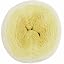 Lemon | 026
