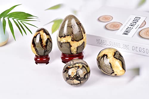 Image of AMOYSTONE Natural Septarium Quartz Crystal Egg with Base for Healing Reiki Single 2.5-3 inch, for Healing Reiki Witchcraft Meditation