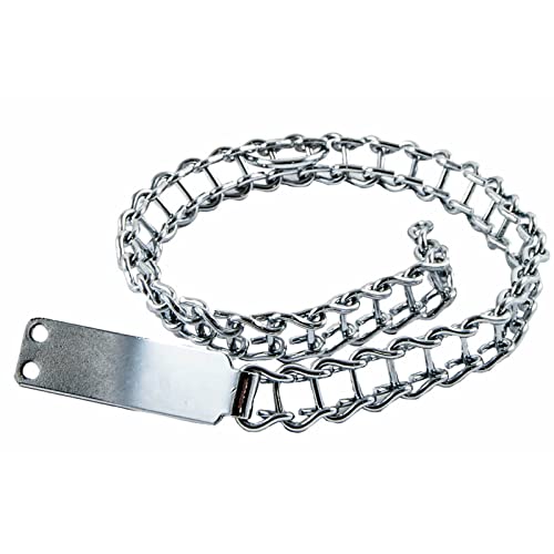 La zappa Collare a scaletta in acciaio nichelato per cani con targhetta (40 cm)