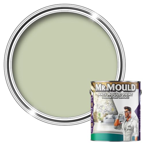 Mr Mould Pintura antihumedad, sello húmedo que evita la acumulación de moho, pintura a prueba de humedad para pared y techo, anticondensación (verde salvia, 5 litros)