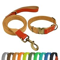 QRDA Collare E Guinzaglio Per Cani - Grigio Argento, Regolabile, In Pelle E Nylon Per Taglie Piccole, Medie E Grandi - Foto 3