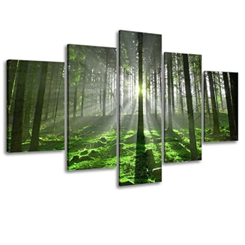 5 Panel Forest Wall Art for Office Decor, SZ Fantastic Spring Morning Sunrise Picture Canvas Prints...