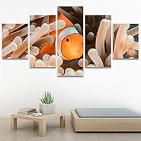 SIGNWIN 5 Panel Canvas Wall Art Group Jellyfish Marine Life Multicolor Photography Realism Tropical Ultra Whimsical for Home Decorations Ready to Hang - 60