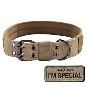 S.Lux Collares para Perros, Antidesgaste Tácticos al Aire Libre Collares para Perros Plomo De Entrenamiento Cinturones para Perros Nylon Militar con Metal D Hebilla Collar