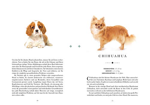 Naturelove. 50 besondere Hunde: Vom Beagle bis zum Zwergspitz. Ein Buch wird zum Kunstwerk