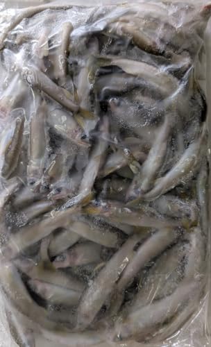 Y 򕌌Y{B  1000gx10P 10 Ⴀ Ⓚ Ɩp