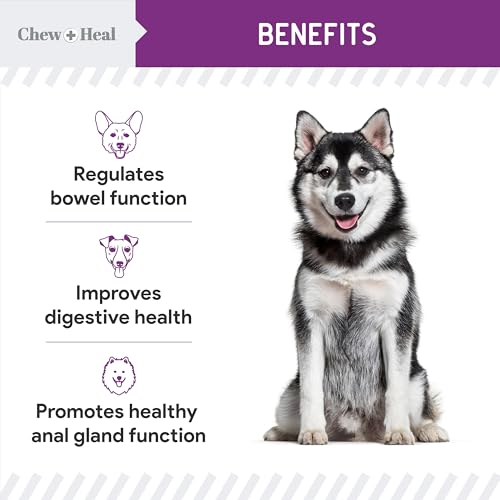 Stop The Scoot Fiber for Dogs - 240 Soft Chews with Pumpkin Powder for Healthy Anal Gland Function - Vet Recommended, Made in The USA - Thumbnail 3
