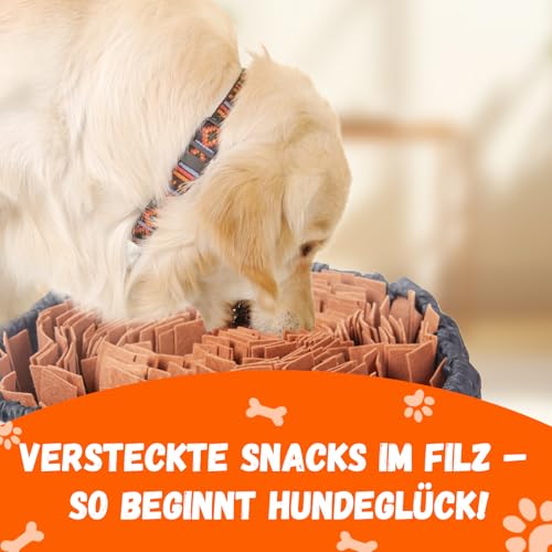 SUNFATT Schnüffelteppich Hund -Hundespielzeug Intelligenz- Robustes und widerstandsfähiges Intelligenzspielzeug für Hunde-größenverstellbar und waschbar,Für alle Hunderassen