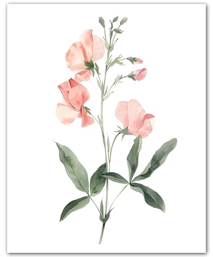 Poster botanique ZUKIY Tiges de jardin blush décoration murale