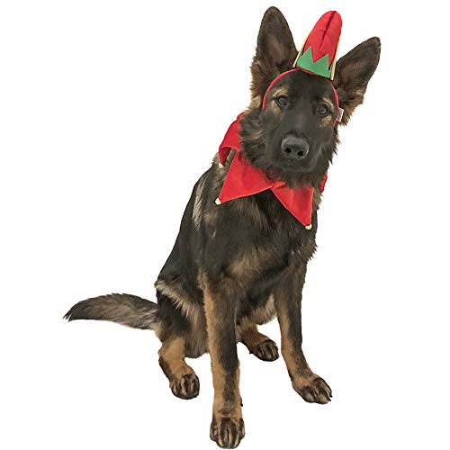 5 Best German shepherd Halloween Costumes