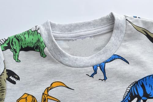 Image of AIWUHE Toddler Cotton Sweatshirt Boys Girls Pullover Long Sleeve Tops 2-6Y