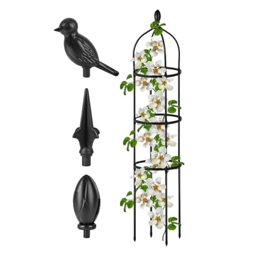 Estructura de jardín decorativa de hierro con forja elegante 2