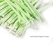 Webake 100% Compostable Jumbo Straws, 9 Inch Long Drinking Straw Eco Friendly Plant-based PLA, Plastic Alternative Straws for Drinks Smoothie Shake Slushie, Pack of 100 Individually Wrapped